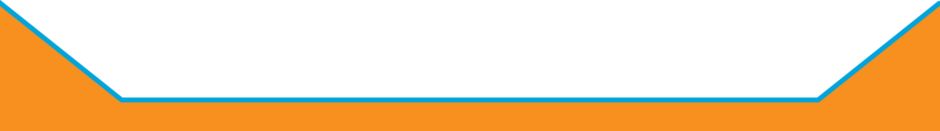 Paver Sealing Fort Myers